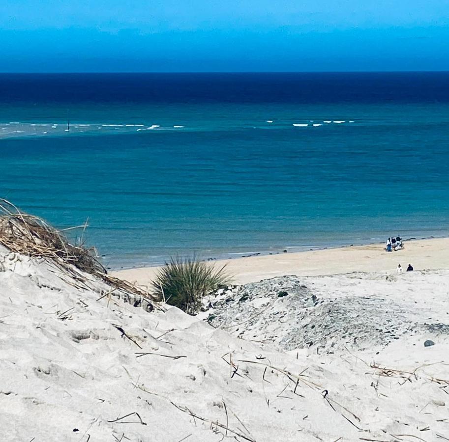 Sandy Bay Apartment, St Ives Bay, היילה מראה חיצוני תמונה
